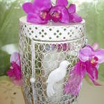 Ornate birdcage, Decorated with Orchids.