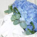 Hydrangea Hand Tied Bouquet